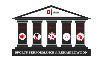 Peak Performance Pillars