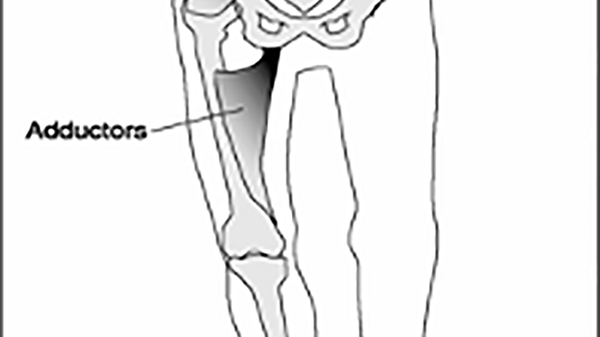 TRAINING THE SINGLE LEG