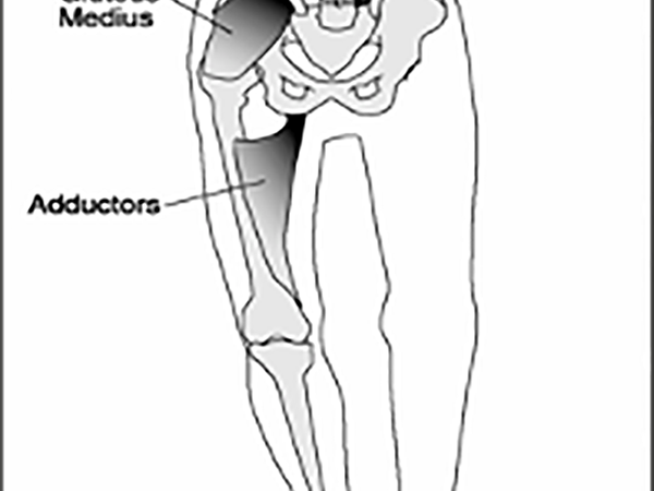 TRAINING THE SINGLE LEG