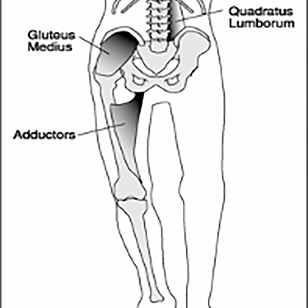 TRAINING THE SINGLE LEG